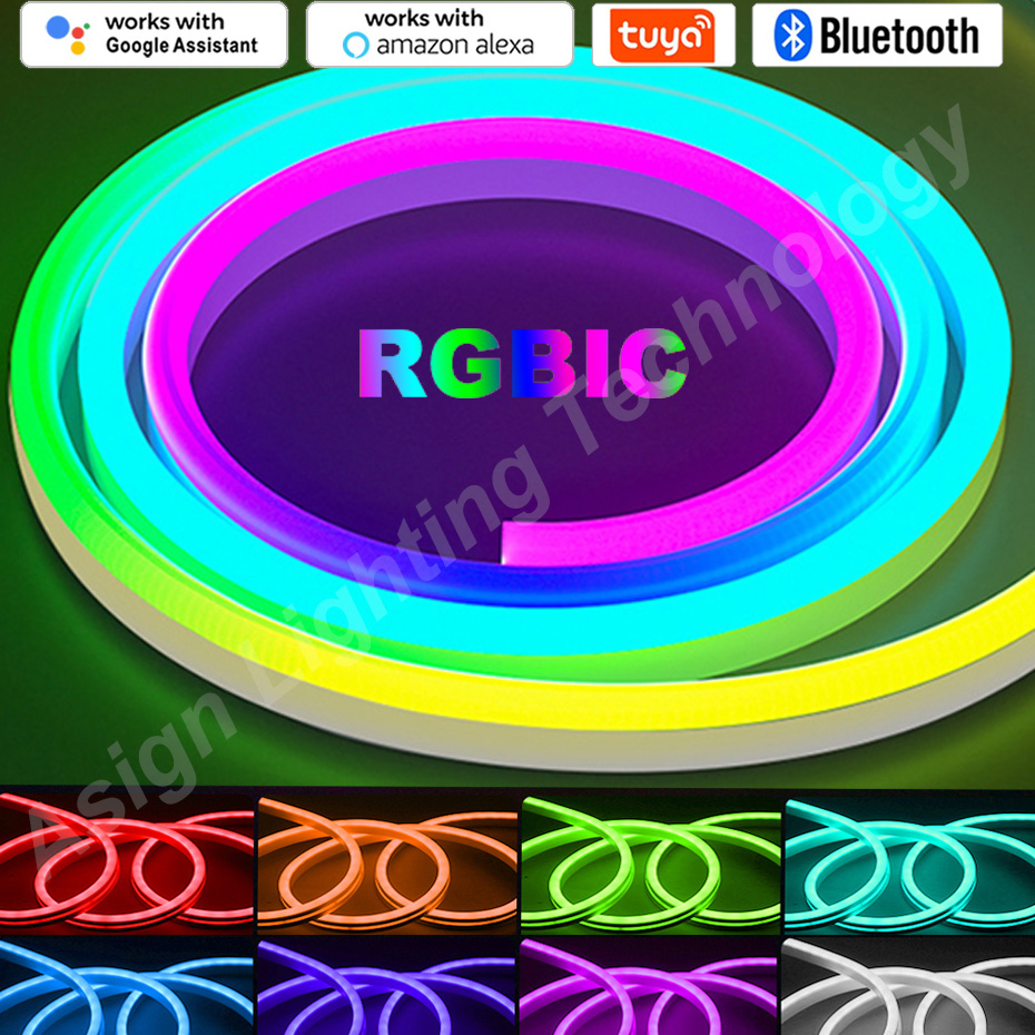 Smart Garden Light Controller - RGBIC LED Neon Strip 12V 96LEDs/M