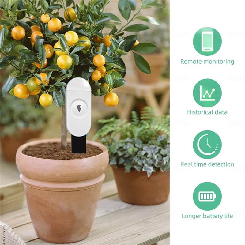 GTBL Moisture Sensor APP Monit - Smart Garden Monitoring System 评论和价格
