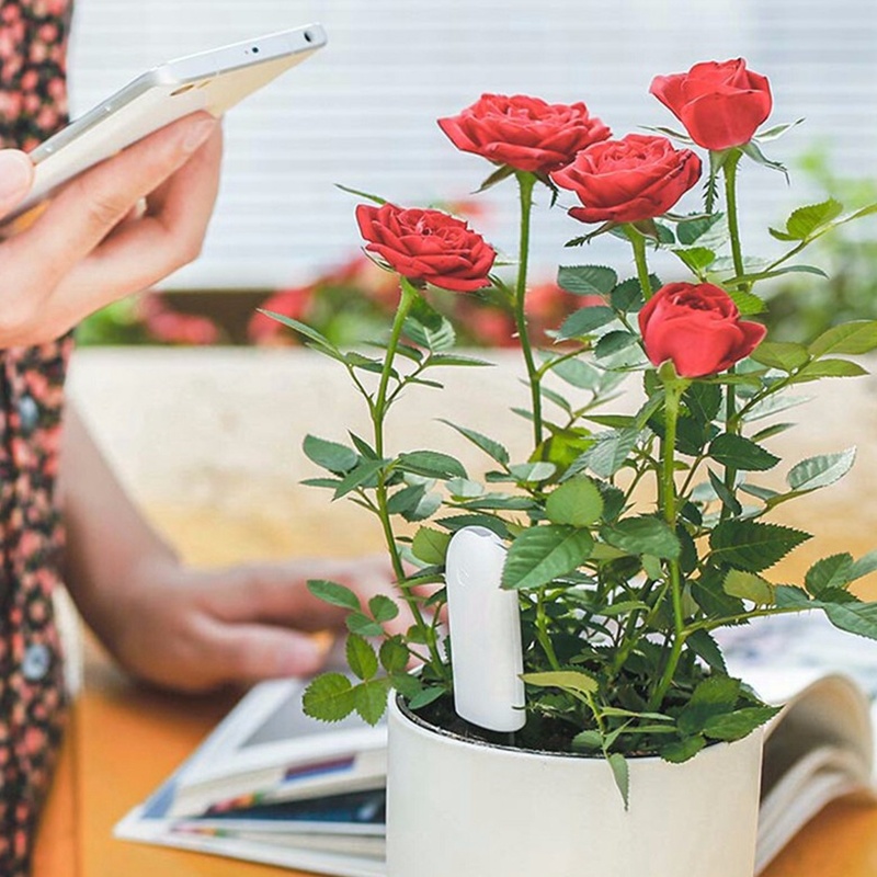 HHCC Flower Monitor Flora Gard - Smart Garden Monitor 评论和价格