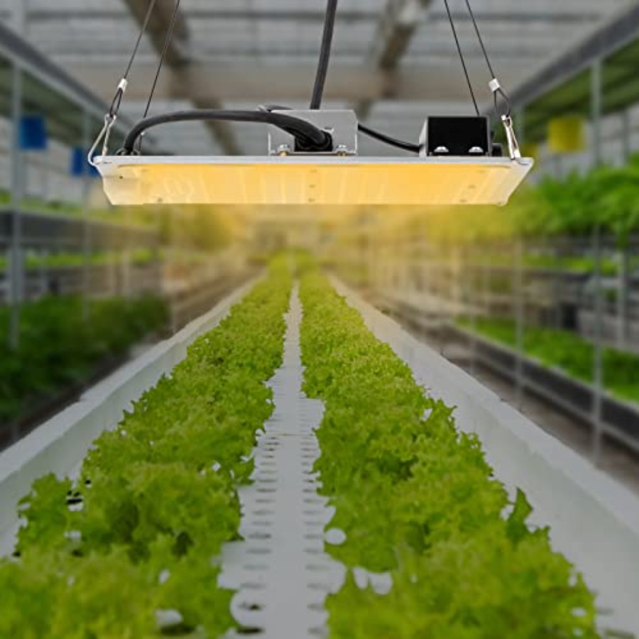 Square LED Grow Light Panel Fu - Plant Grow Light Full Spectrum 评论和价格