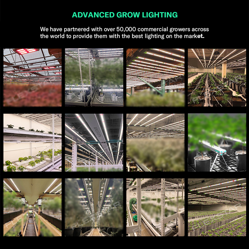 Lm301h Evo 281b Full Spectrum  - Plant Grow Light Full Spectrum 评论和价格