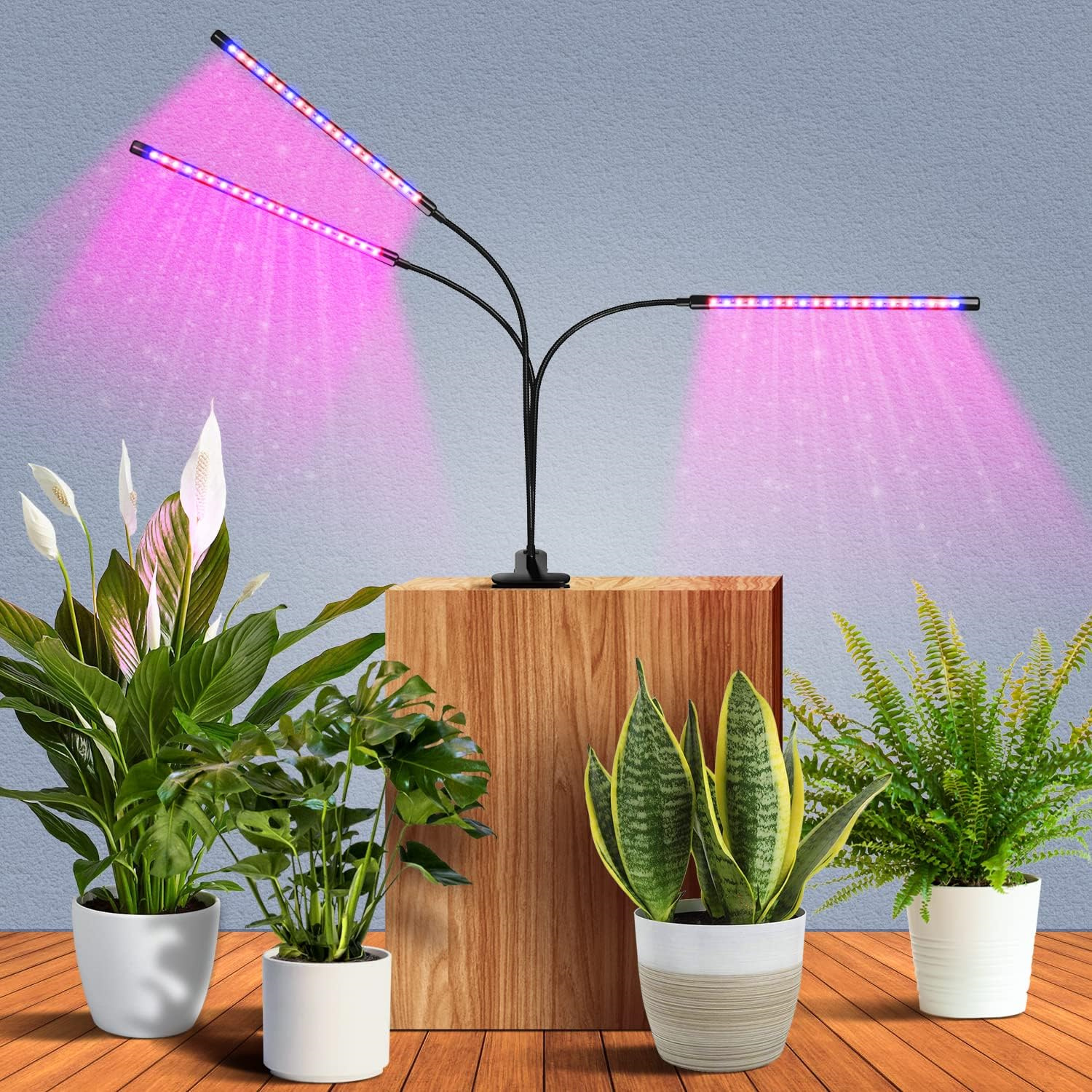 USB Phyto Lamp Full Spectrum H - Plant Grow Light Full Spectrum 评论和价格