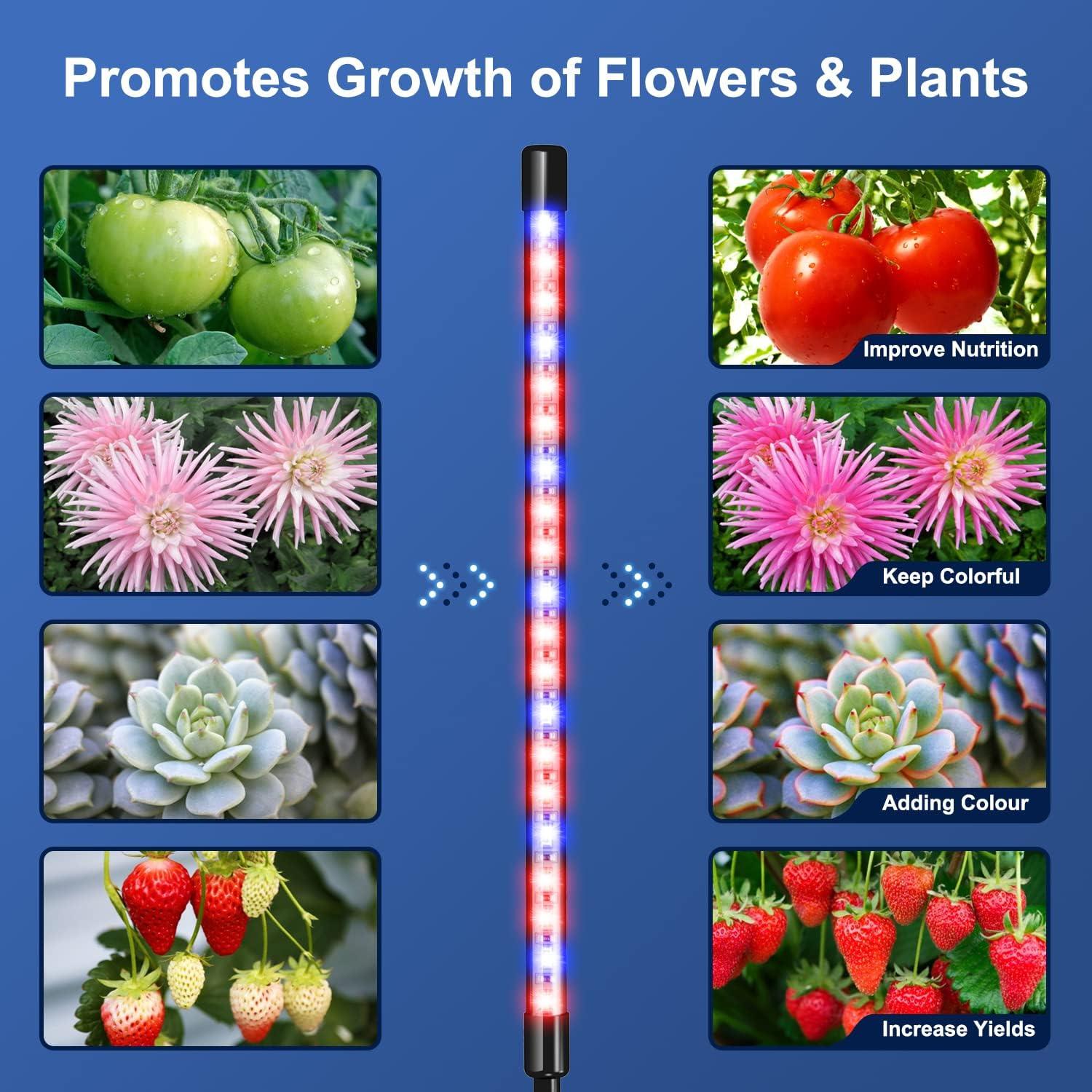 USB Phyto Lamp Full Spectrum H - Plant Grow Light Full Spectrum 评论和价格
