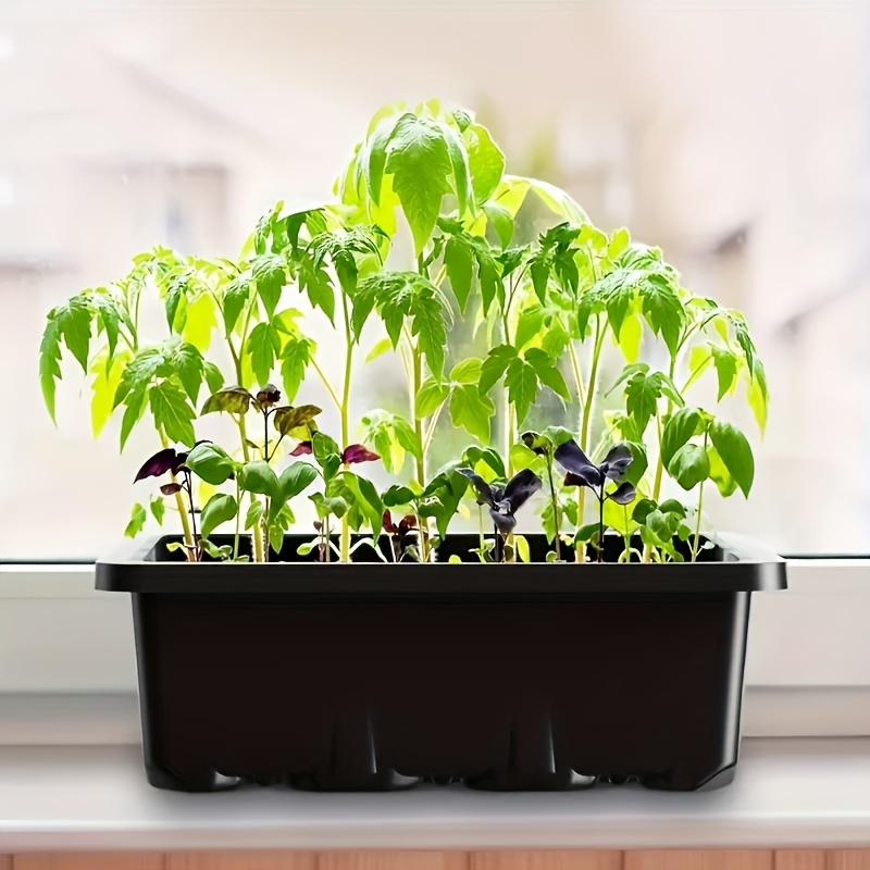 Seedling Starter Kit 1/2/3 Set - Plant Grow Light Full Spectrum 评论和价格