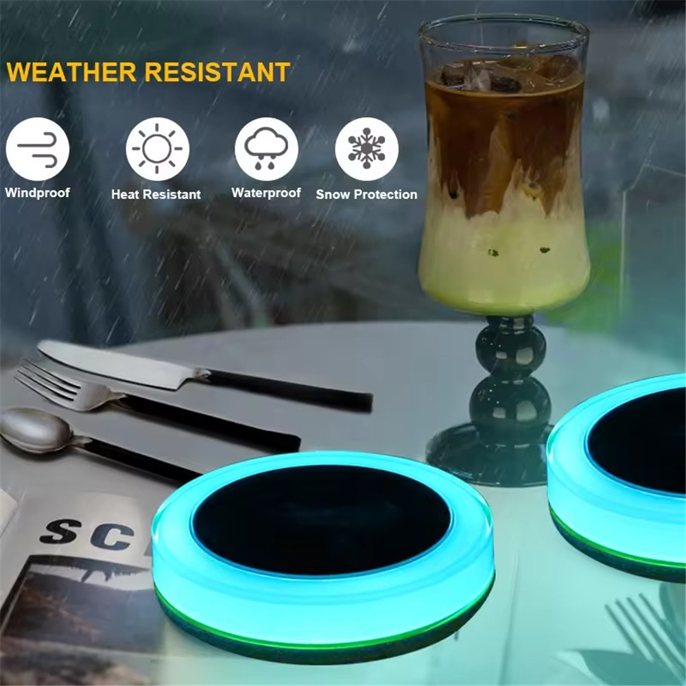 Solar LED Water Float Light Ou - Smart Garden Light Controller 评论和价格