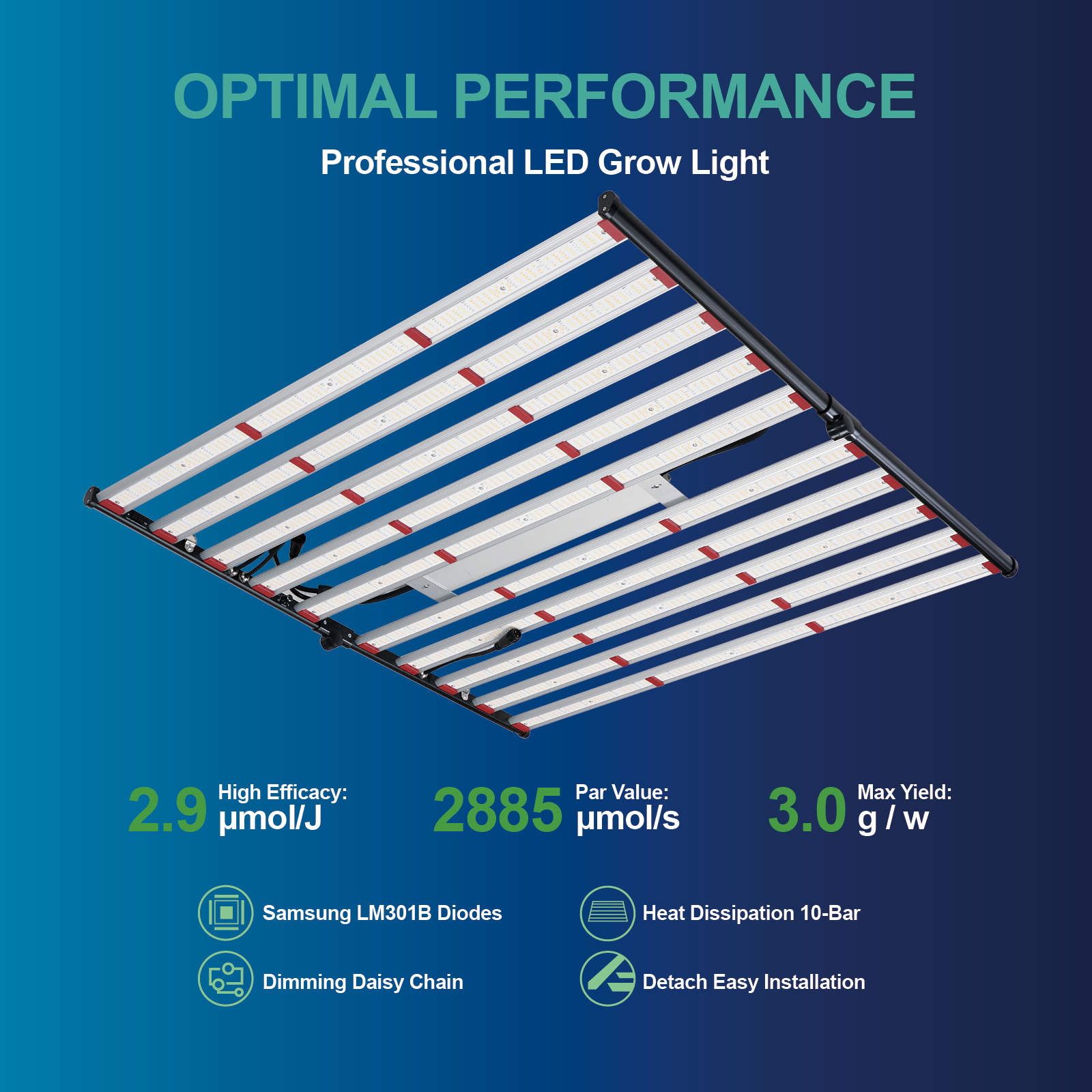 ETL 240W 320W 600W 800W 1000W  - Plant Grow Light Full Spectrum 评论和价格