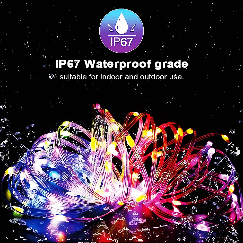 USB LED Smart app RGBIC Fairy  - Smart Garden Light Controller 评论和价格