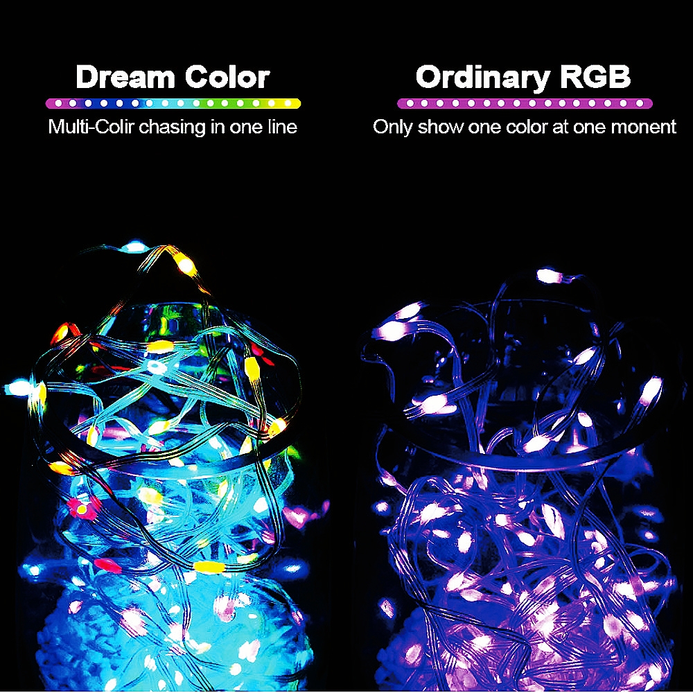 USB LED Smart app RGBIC Fairy  - Smart Garden Light Controller 评论和价格